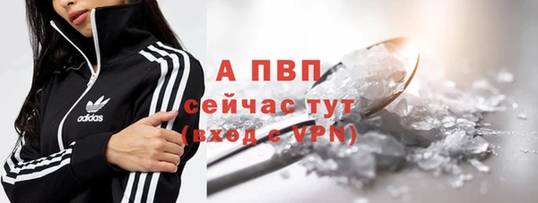 гидра Михайловка