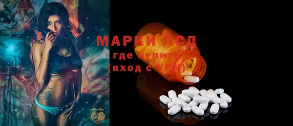 гидра Михайловка