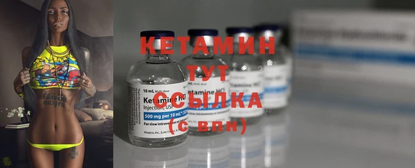 гидра Михайловка