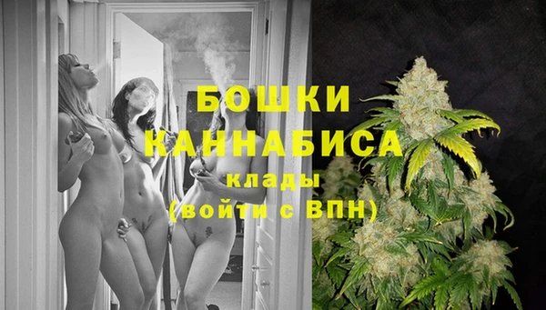 гидра Михайловка