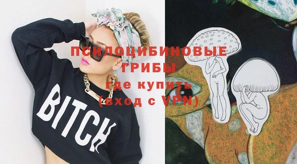 тгк Михайловск