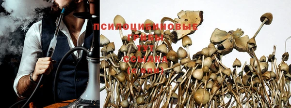 МДПВ Михайлов