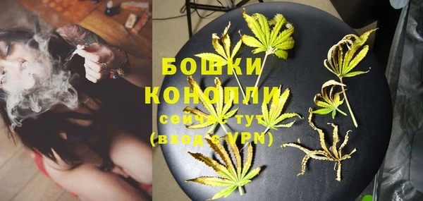 МДПВ Михайлов