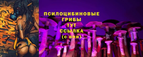 МДПВ Михайлов