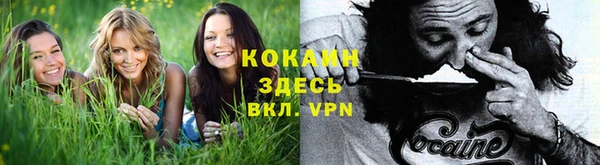 МДПВ Михайлов