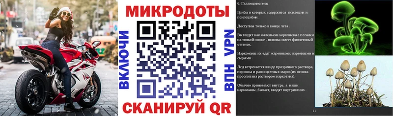 Псилоцибиновые грибы Psilocybe Мышкин